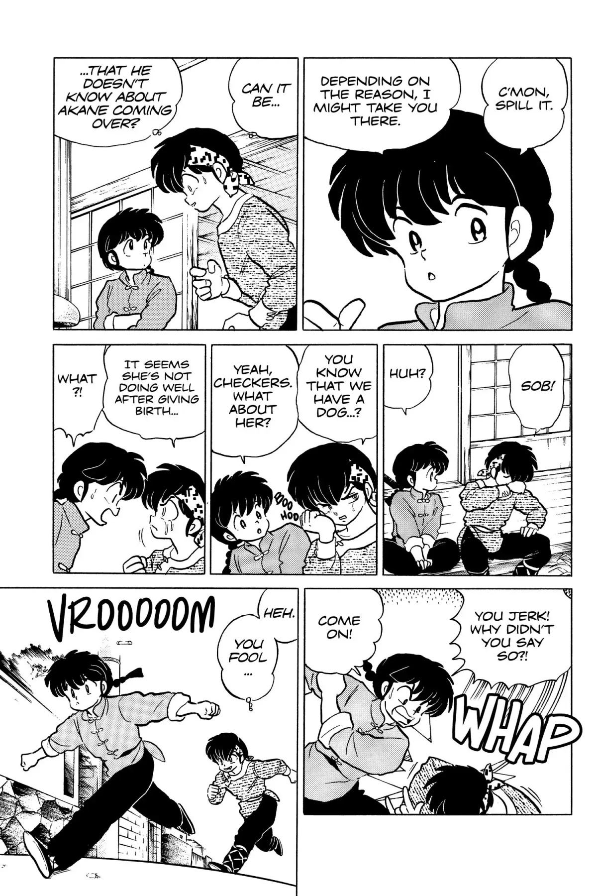 Ranma 1/2 Chapter 103 page 17 - Chapter 103: Ryoga, Come Home