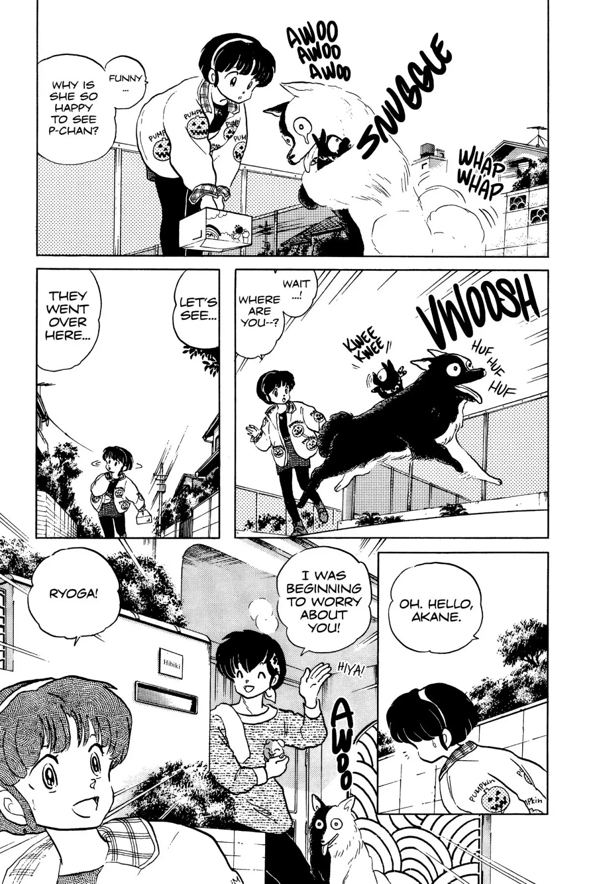 Ranma 1/2 Chapter 103 page 21 - Chapter 103: Ryoga, Come Home