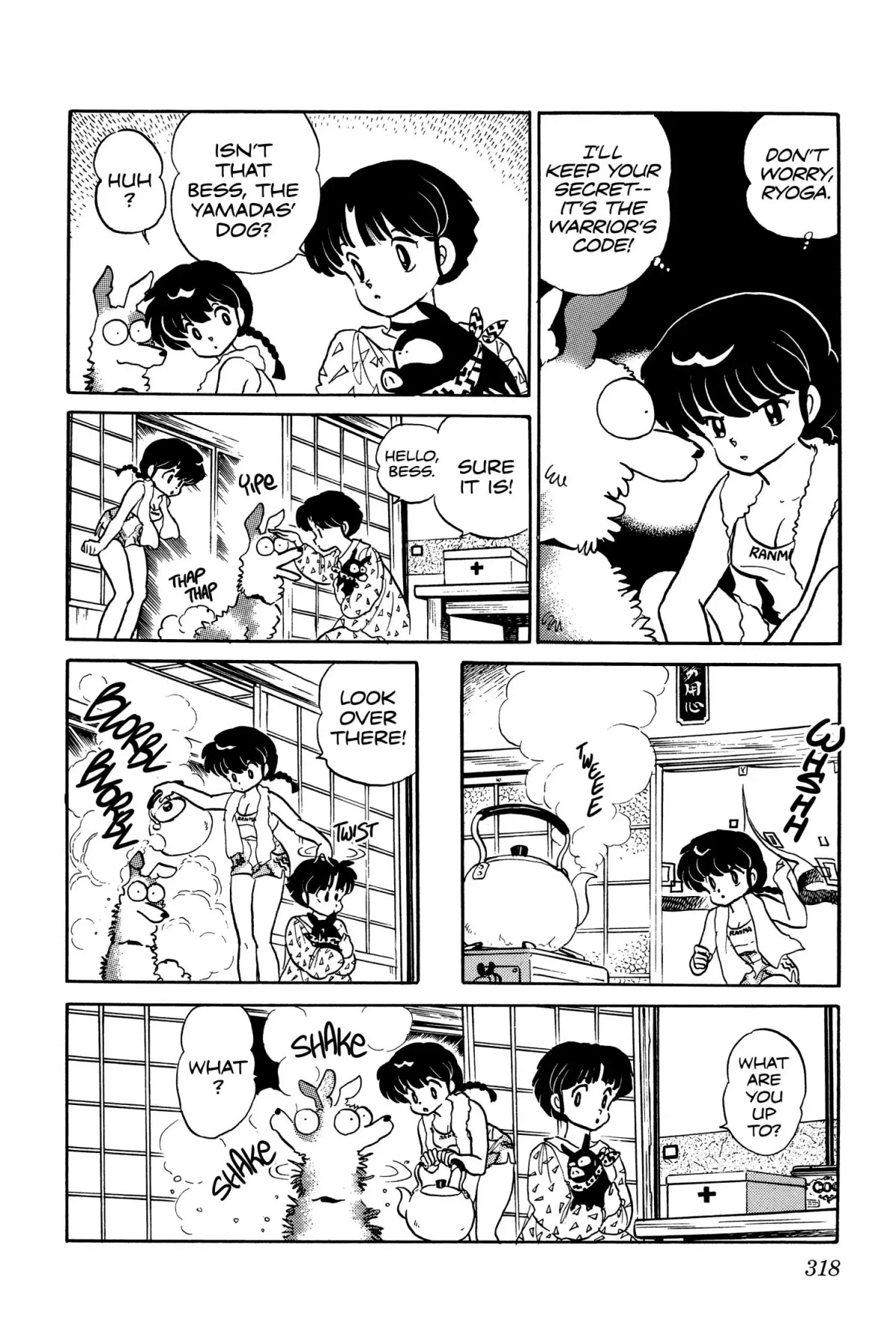 Ranma 1/2 Chapter 15 page 18 - Chapter 15: The Transformation of Ryoga