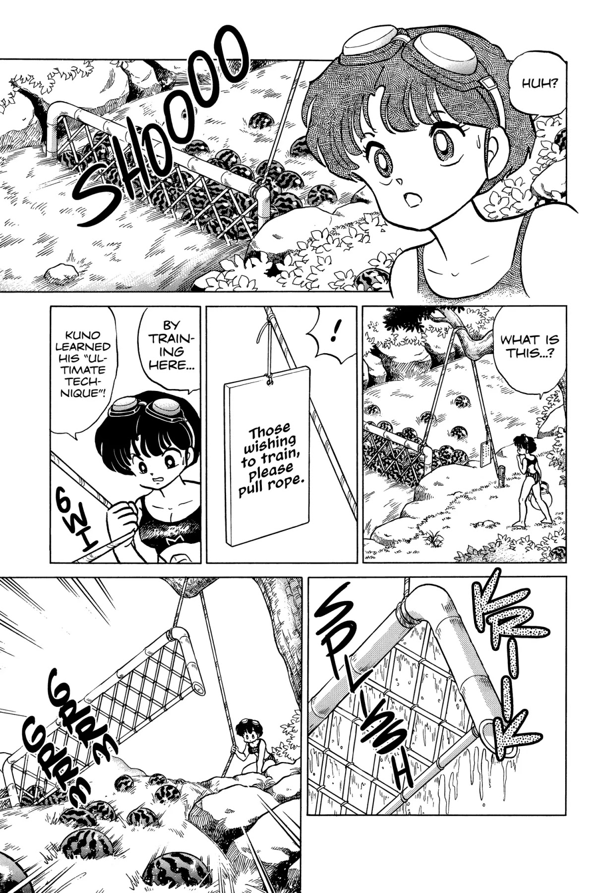 Ranma 1/2 Chapter 193 page 9 - Chapter 193: Catcher in the Rind