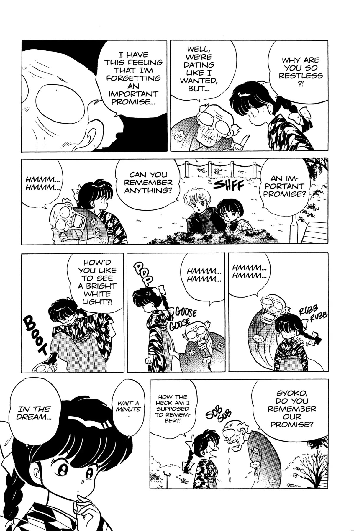 Ranma 1/2 Chapter 210 page 9 - Chapter 210: The Plum and the Prune