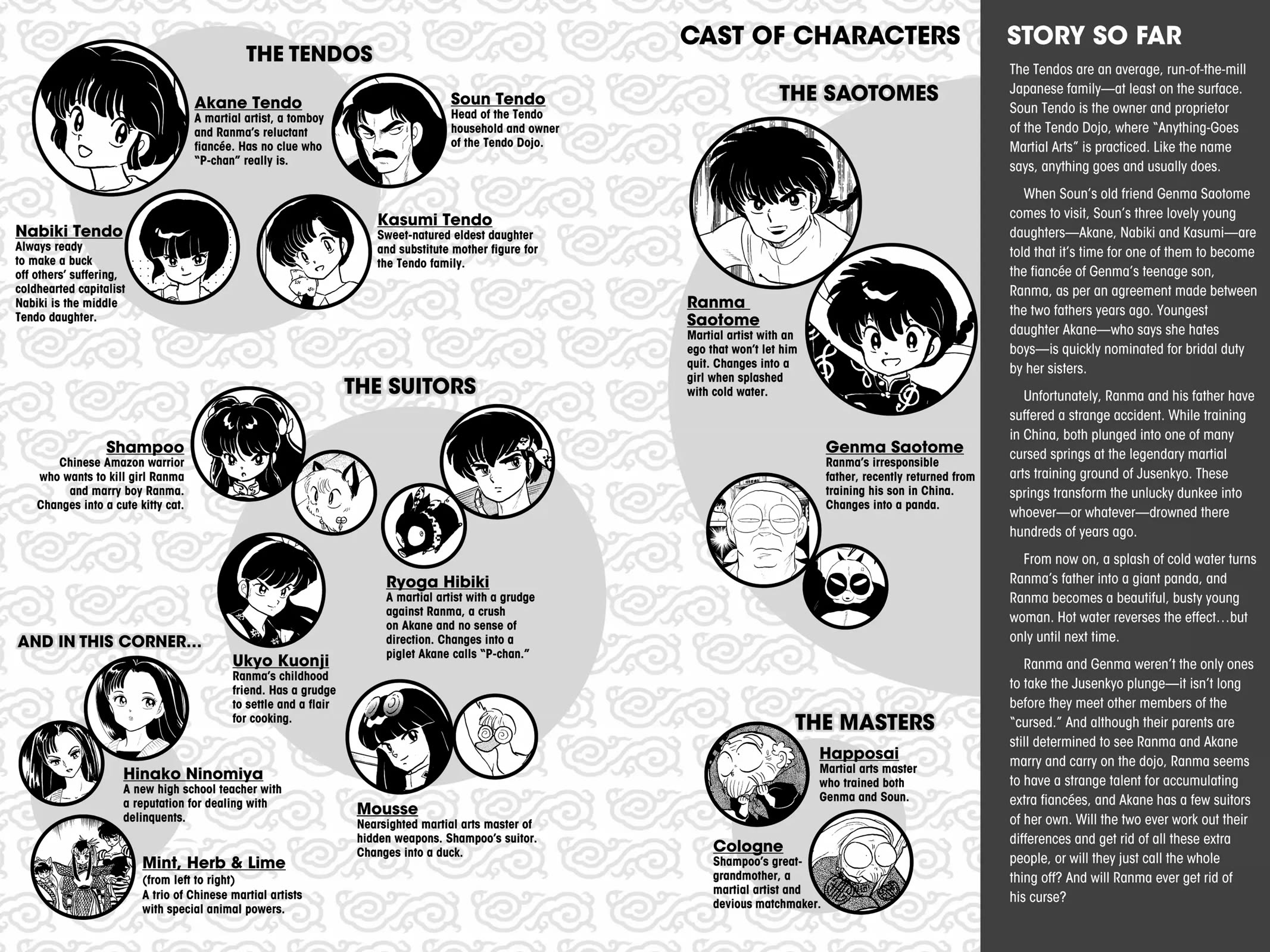 Ranma 1/2 Chapter 257 page 5 - Chapter 257: A Man Again!