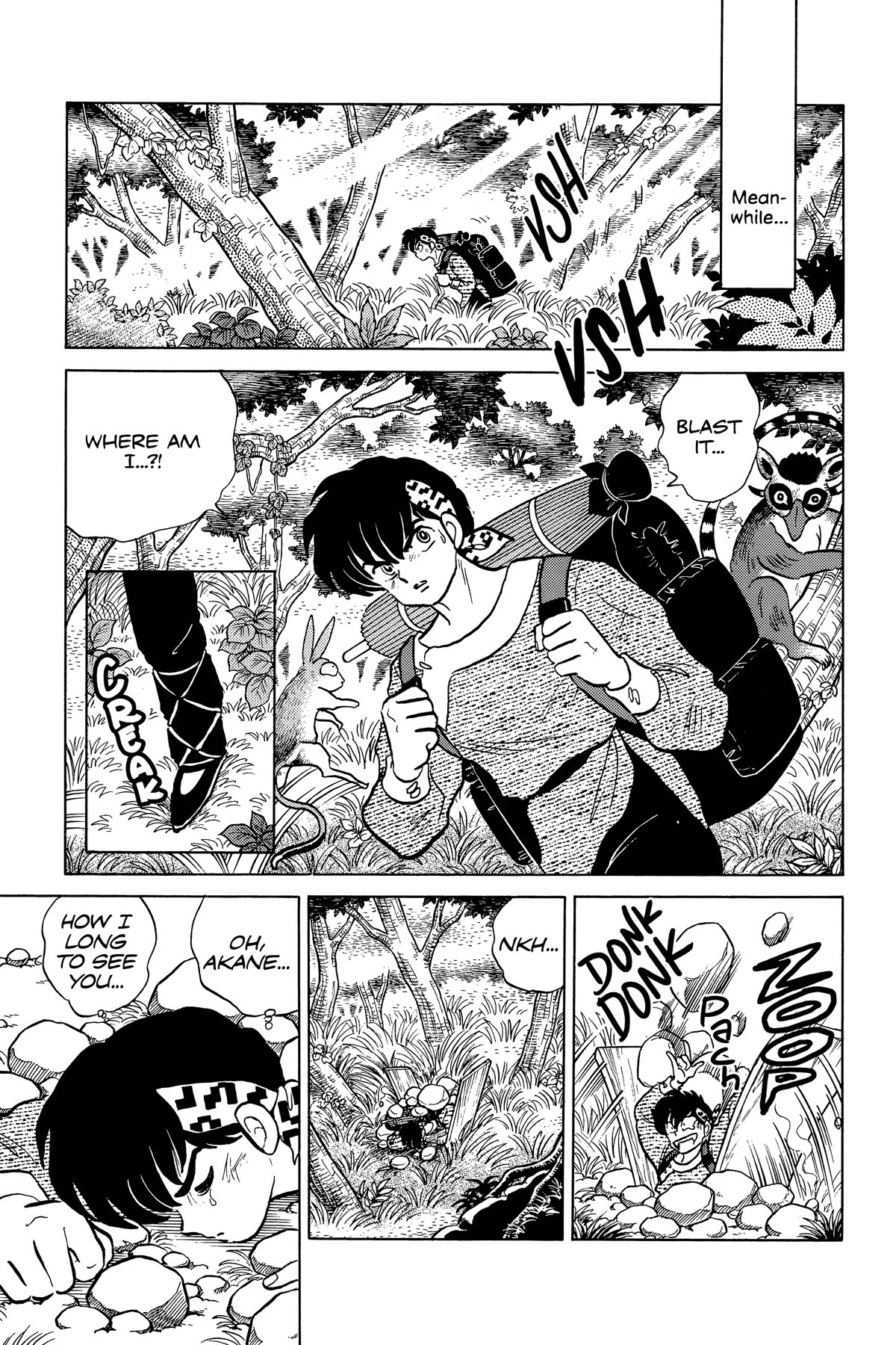 Ranma 1/2 Chapter 270 page 9 - Chapter 270: In the Shade of the Forest