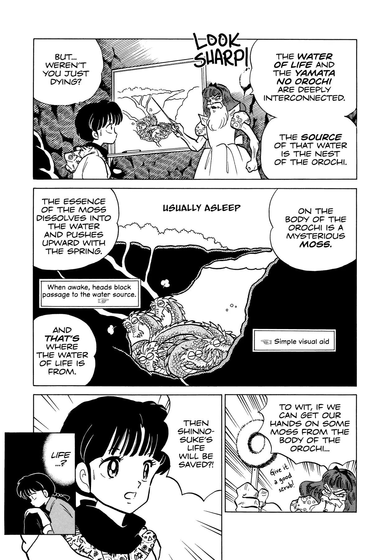 Ranma 1/2 Chapter 272 page 14 - Chapter 272: The King of Beasts Emerges!