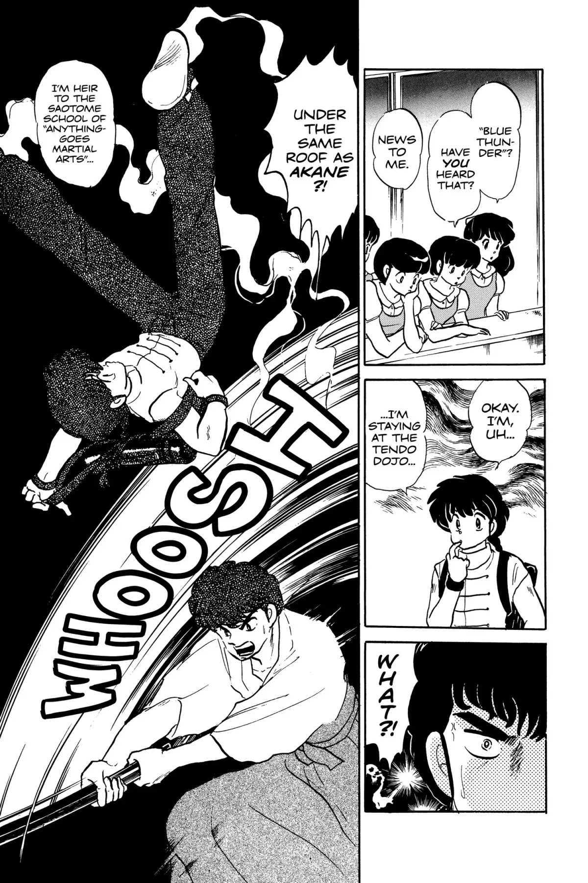 Ranma 1/2 Chapter 3 page 19 - Chapter 3: I Hate Men!