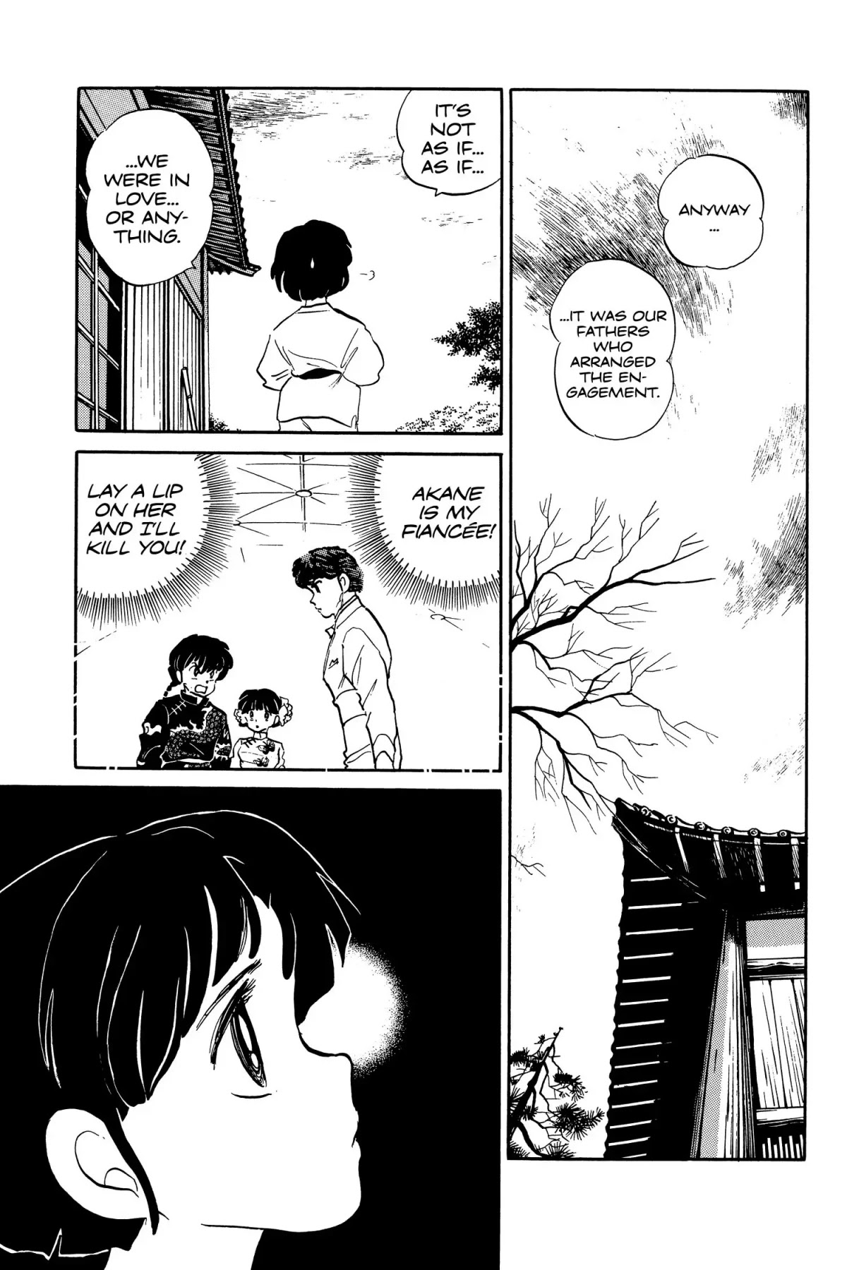 Ranma 1/2 Chapter 32 page 11 - Chapter 32: Wo Ai Ni (I Love You)