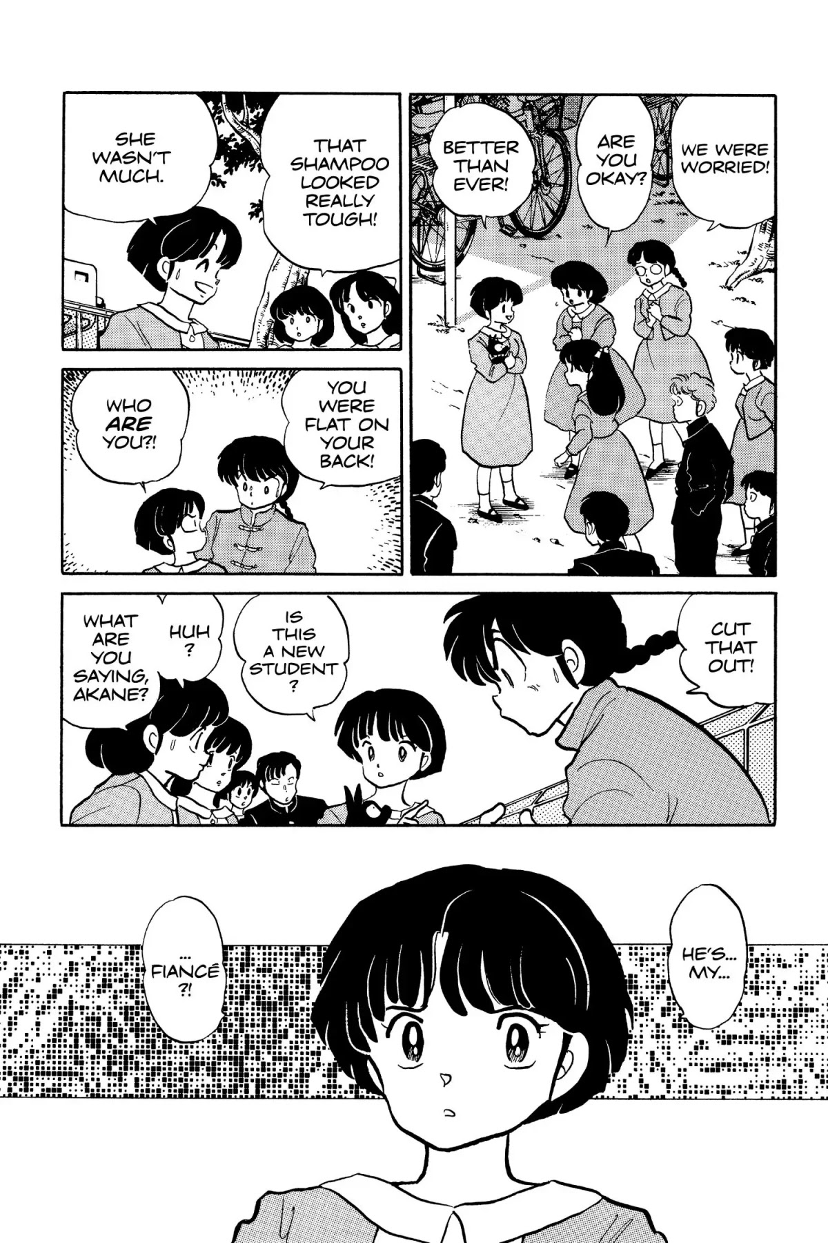 Ranma 1/2 Chapter 34 page 4 - Chapter 34: Shampoo Cleans Up