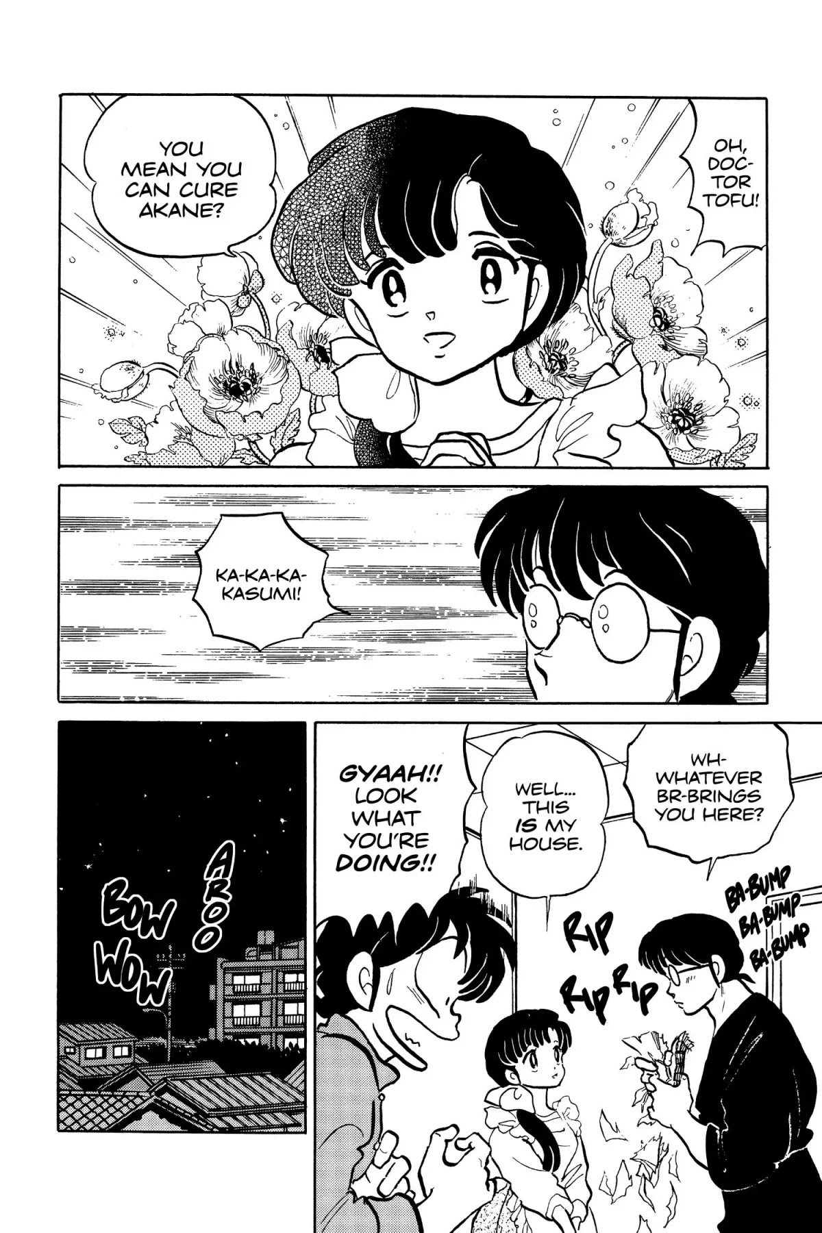 Ranma 1/2 Chapter 35 page 10 - Chapter 35: Formula #911