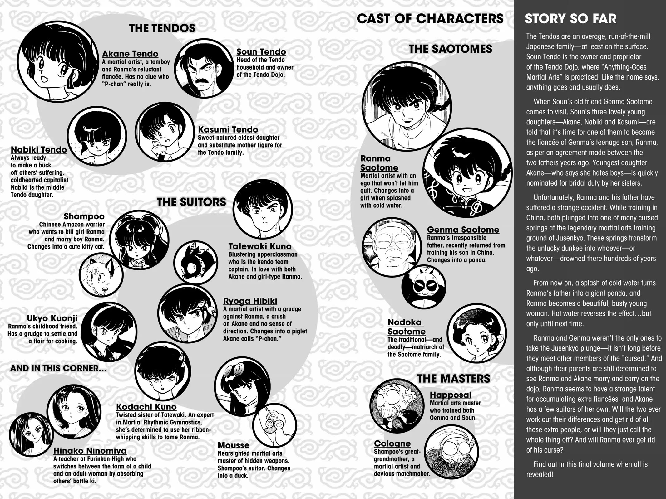 Ranma 1/2 Chapter 389 page 5 - Chapter 389: Messenger From Jusenkyo