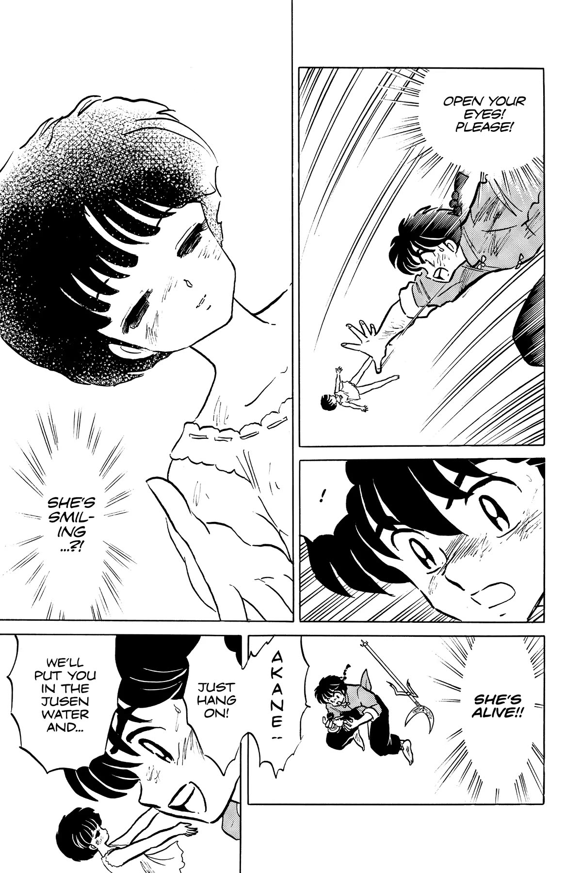 Ranma 1/2 Chapter 406 page 22 - Chapter 406: Akane's Smile