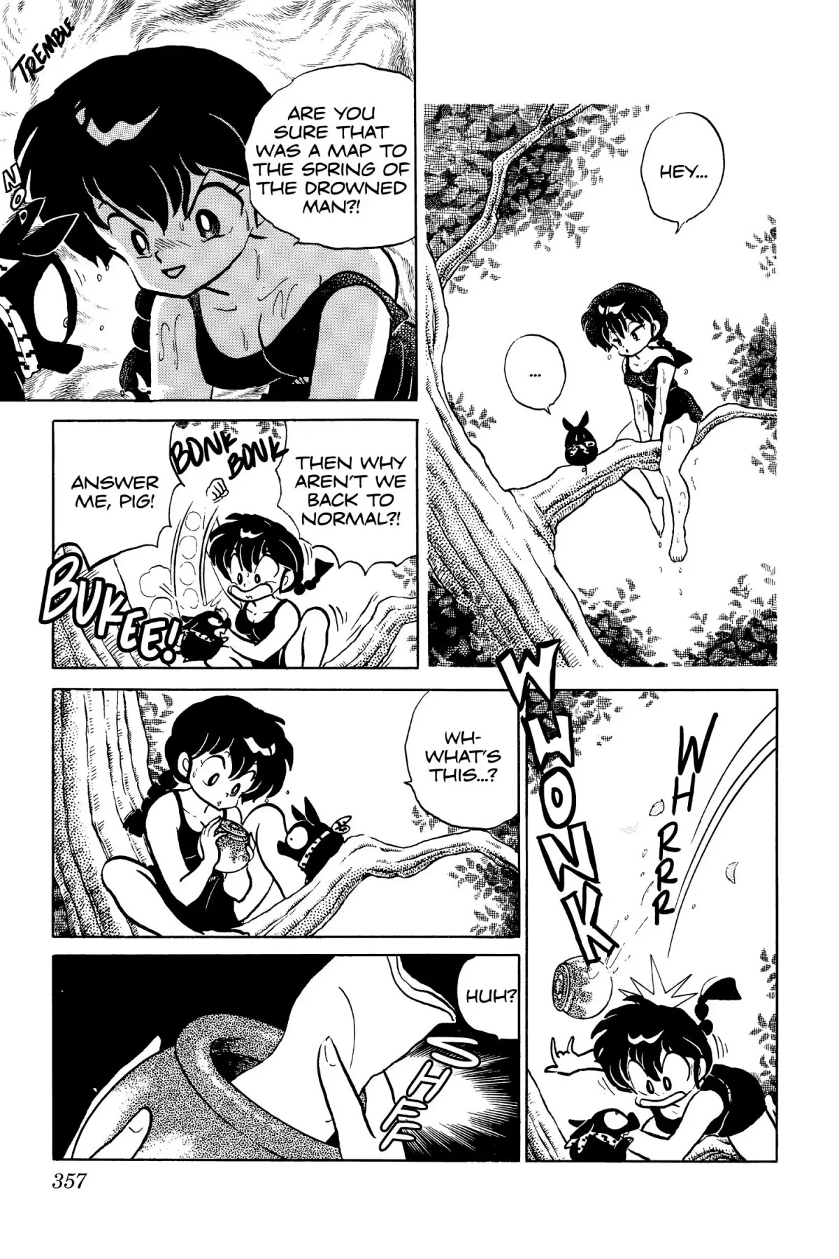 Ranma 1/2 Chapter 80 page 15 - Chapter 80: From the Spring, Springs a Message