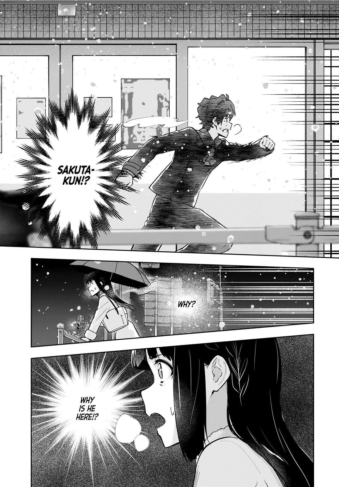 Rascal Does Not Dream of a Dreaming Girl Chapter 10.2 page 14 - Chapter 10.2