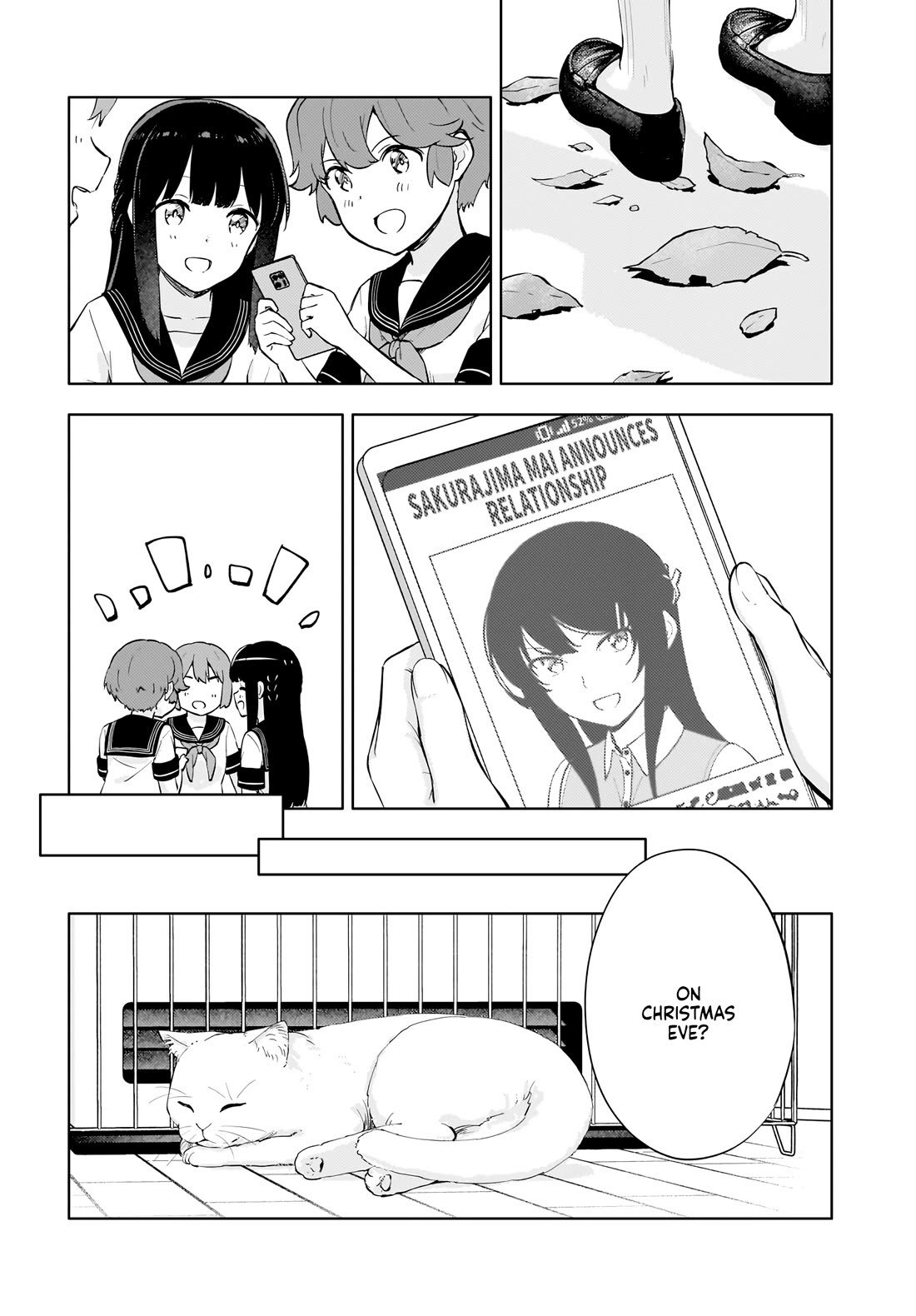 Rascal Does Not Dream of a Dreaming Girl Chapter 15 page 13 - Chapter 15 [END]
