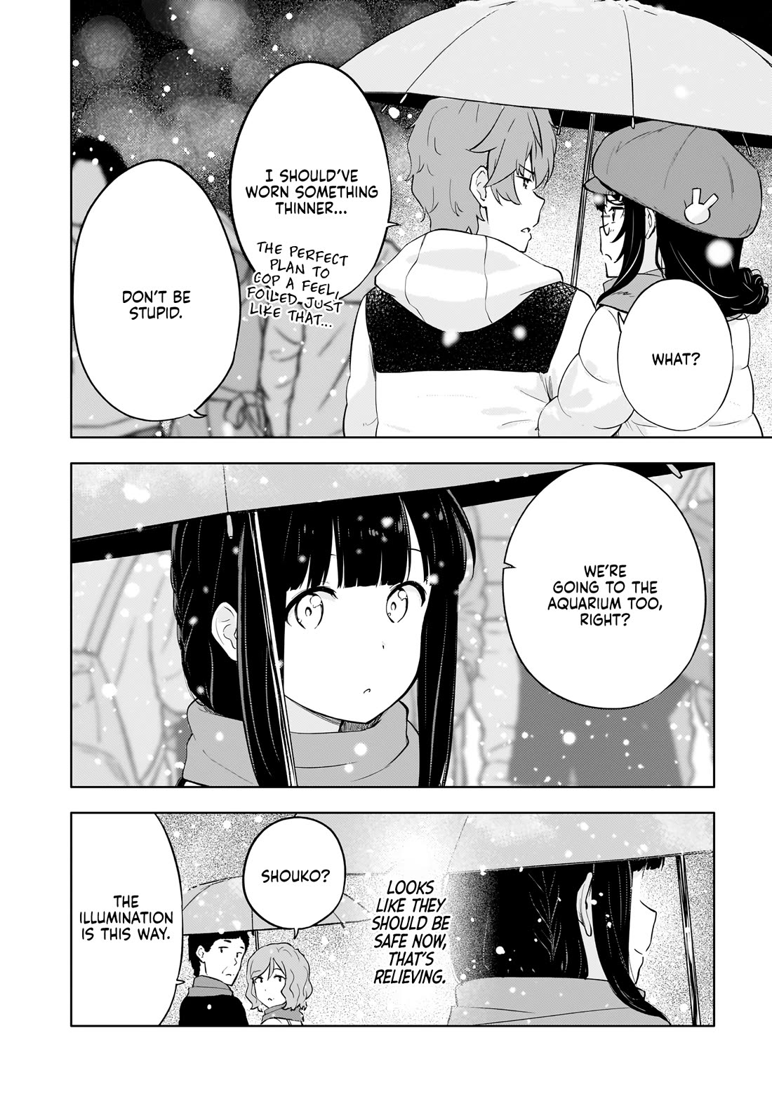 Rascal Does Not Dream of a Dreaming Girl Chapter 15 page 16 - Chapter 15 [END]