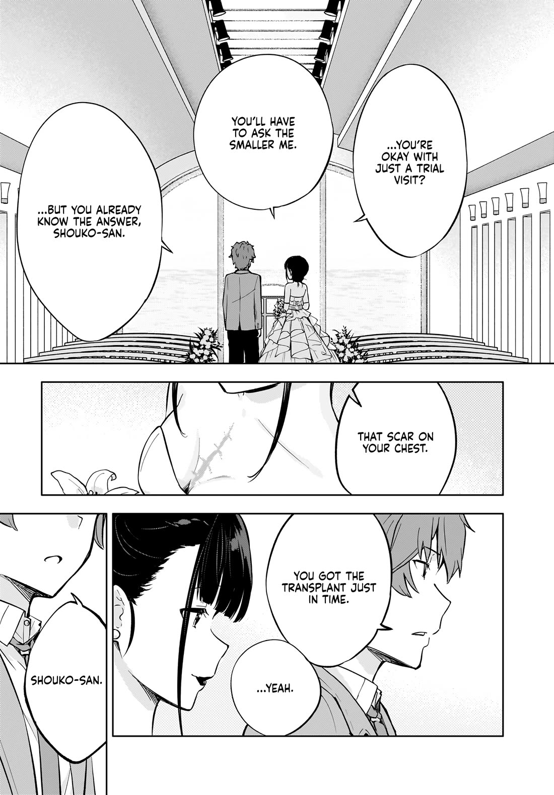 Rascal Does Not Dream of a Dreaming Girl Chapter 9 page 20 - Chapter 9