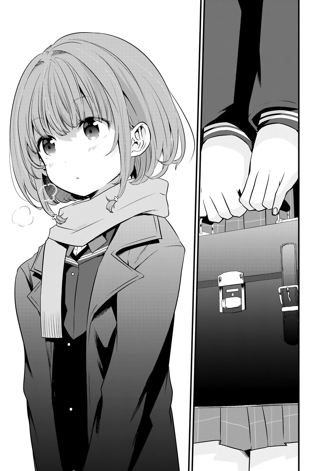 Rascal Does Not Dream of a Sister Home Alone Chapter 12 page 14 - Chapter 12 [END]