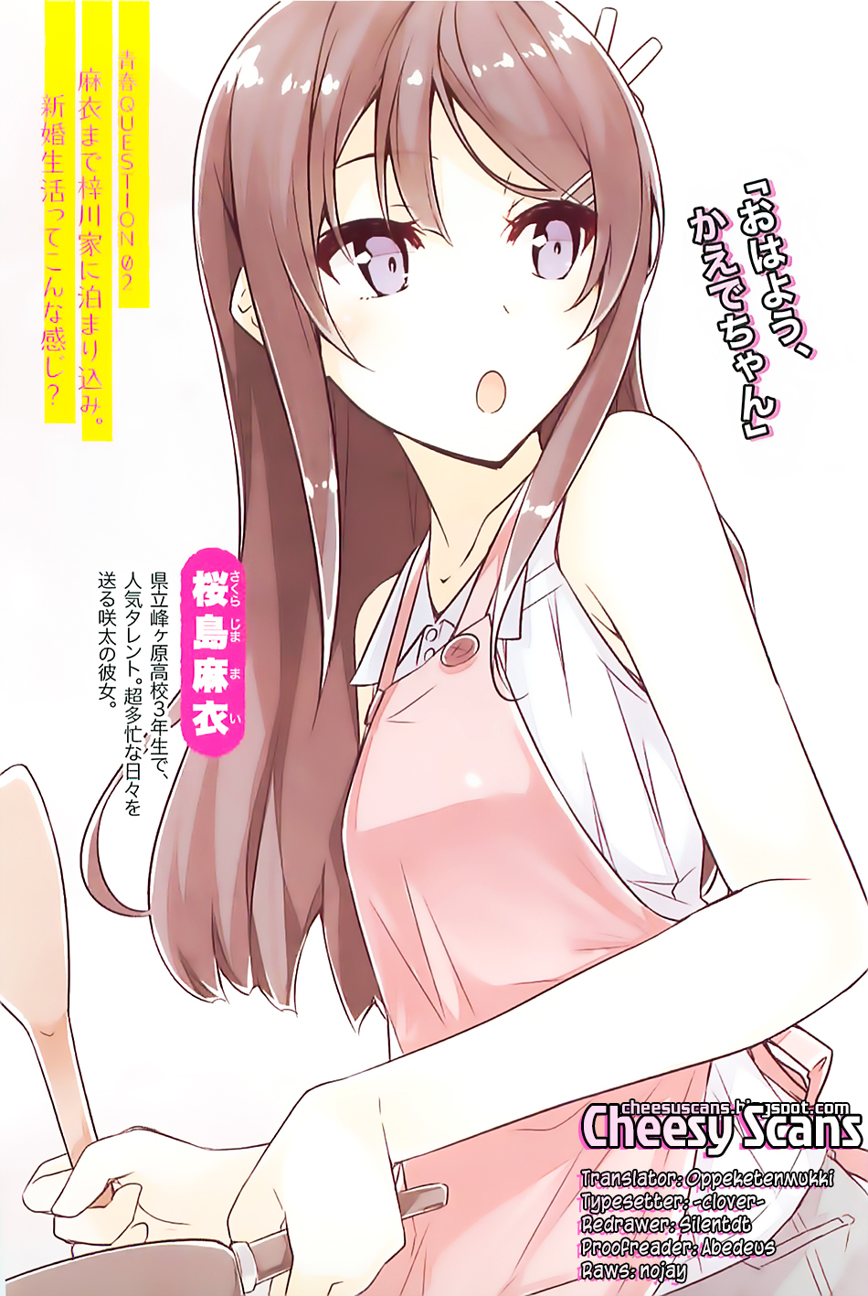 Rascal Does Not Dream of Bunny Girl Senpai Chapter 3 page 1 - Chapter 3