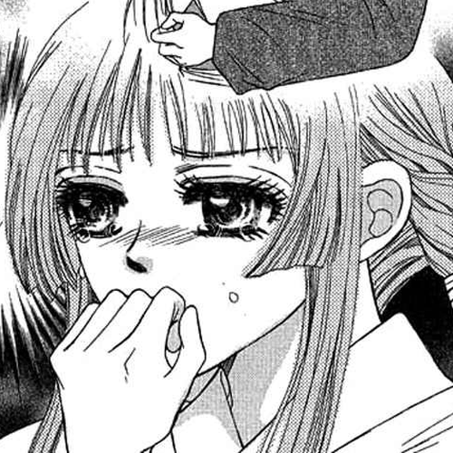 Real Fake Princess Chapter 12: The Chaos of the Castle cover