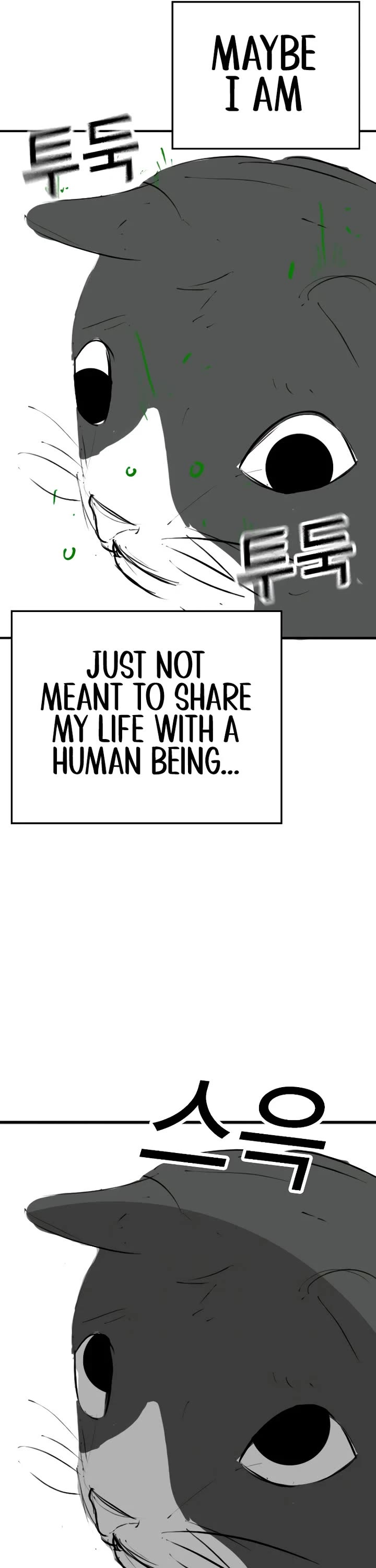 Reality Quest Chapter 164.9 page 37 - Chapter 164.9