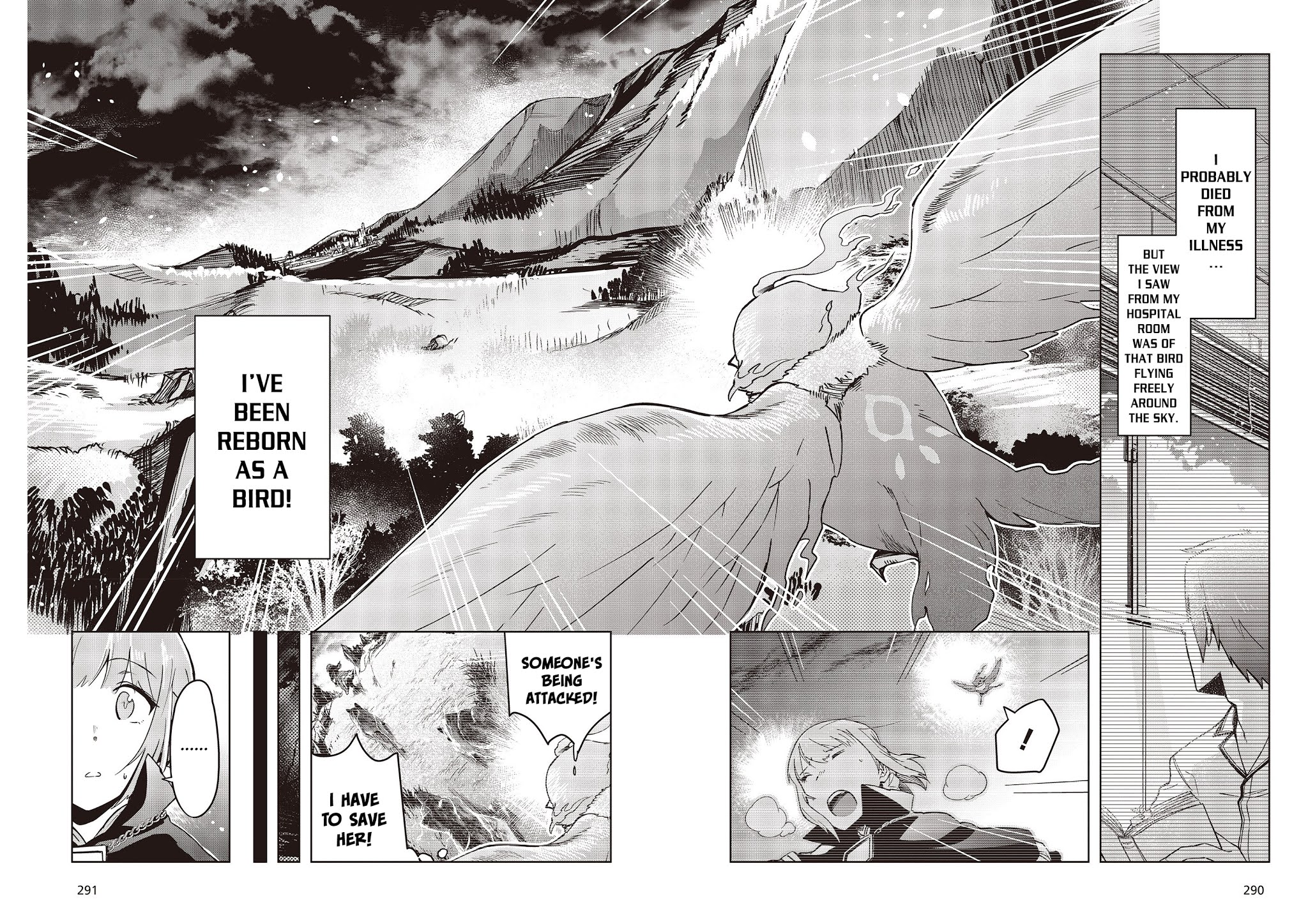 Reborn as a Phoenix: A Normal Bird Can't Beat a Dragon, Right? Chapter 1 page 11 - Chapter 1