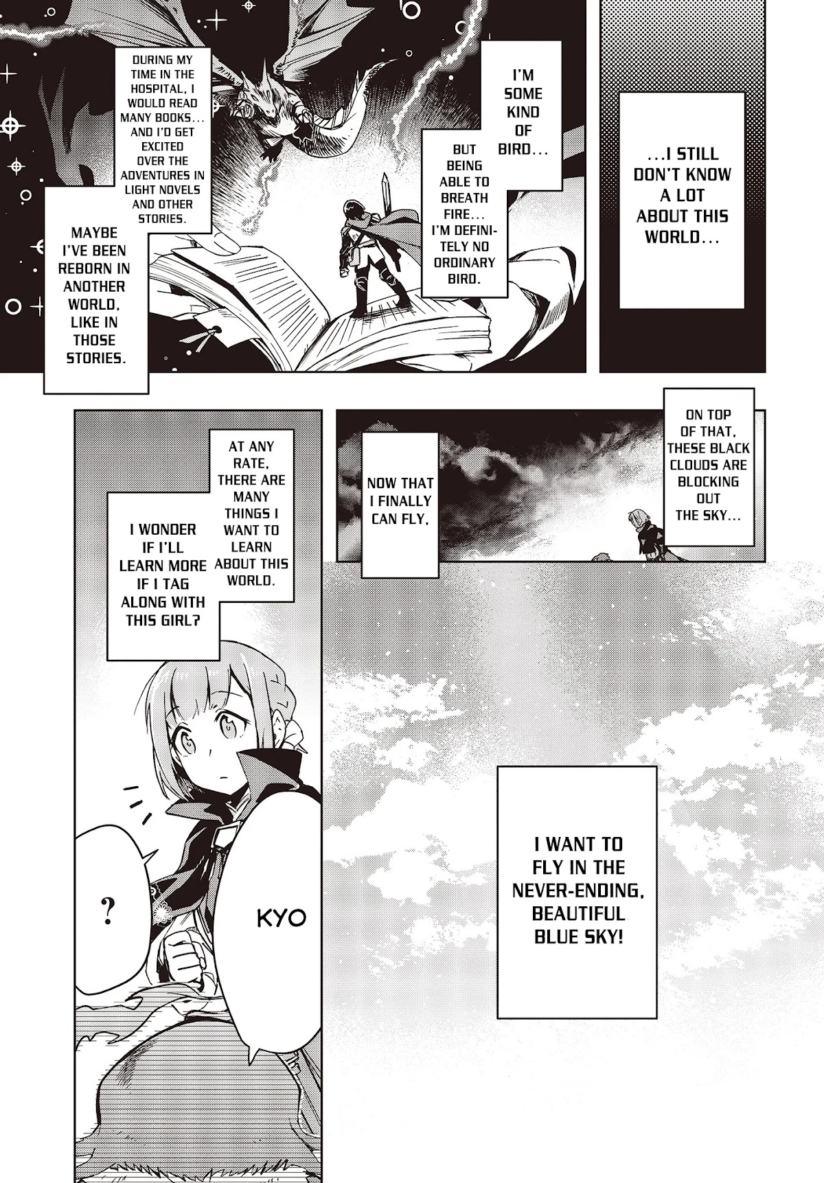 Reborn as a Phoenix: A Normal Bird Can't Beat a Dragon, Right? Chapter 1 page 17 - Chapter 1