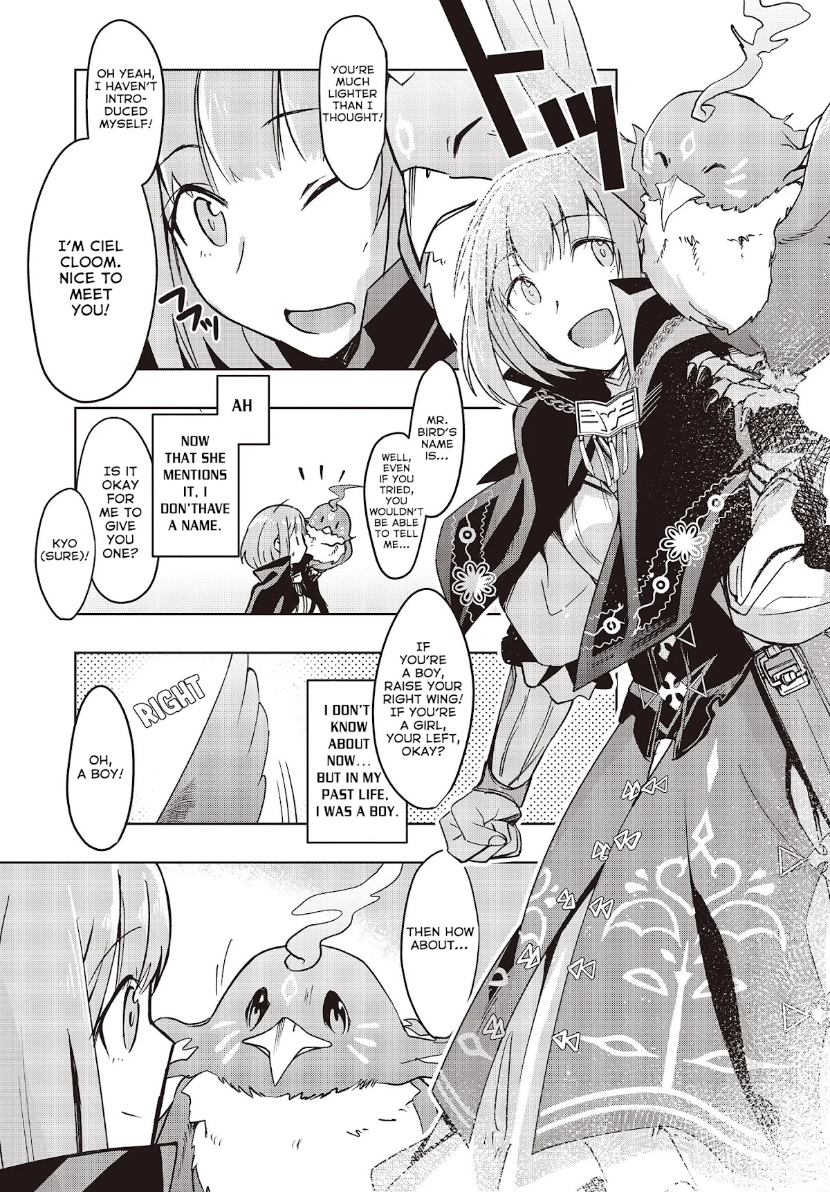 Reborn as a Phoenix: A Normal Bird Can't Beat a Dragon, Right? Chapter 1 page 19 - Chapter 1