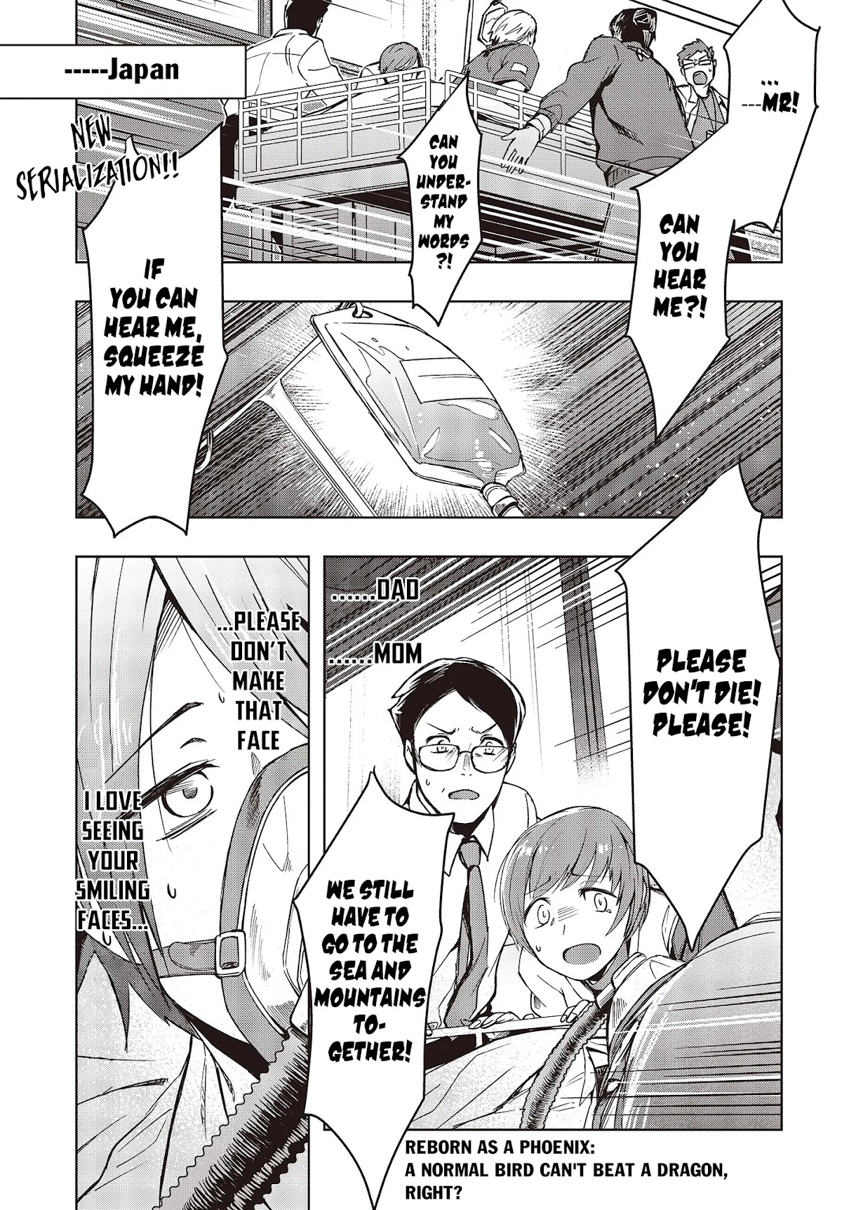 Reborn as a Phoenix: A Normal Bird Can't Beat a Dragon, Right? Chapter 1 page 2 - Chapter 1