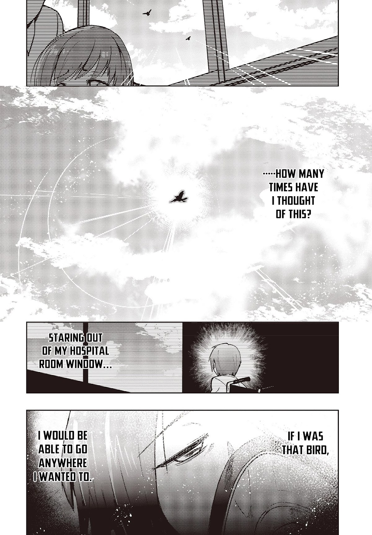 Reborn as a Phoenix: A Normal Bird Can't Beat a Dragon, Right? Chapter 1 page 3 - Chapter 1