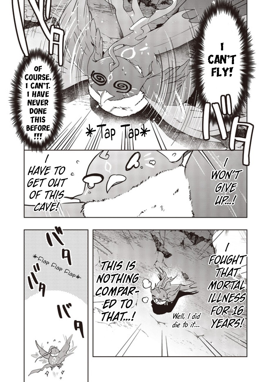 Reborn as a Phoenix: A Normal Bird Can't Beat a Dragon, Right? Chapter 2 page 12 - Chapter 2