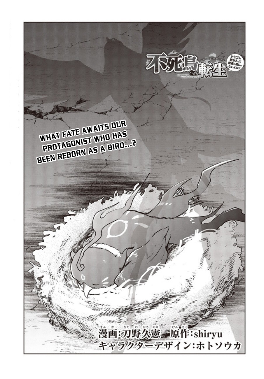 Reborn as a Phoenix: A Normal Bird Can't Beat a Dragon, Right? Chapter 2 page 2 - Chapter 2