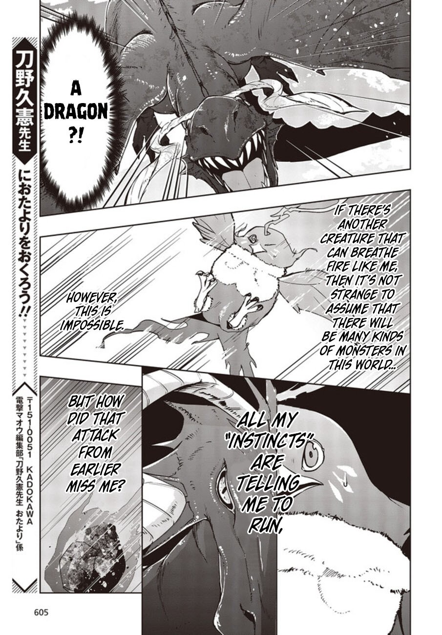 Reborn as a Phoenix: A Normal Bird Can't Beat a Dragon, Right? Chapter 2 page 24 - Chapter 2