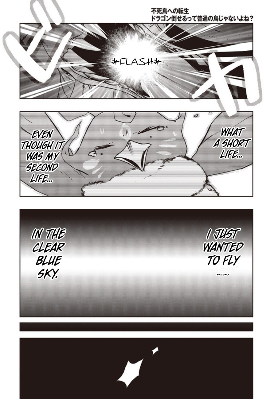 Reborn as a Phoenix: A Normal Bird Can't Beat a Dragon, Right? Chapter 2 page 25 - Chapter 2