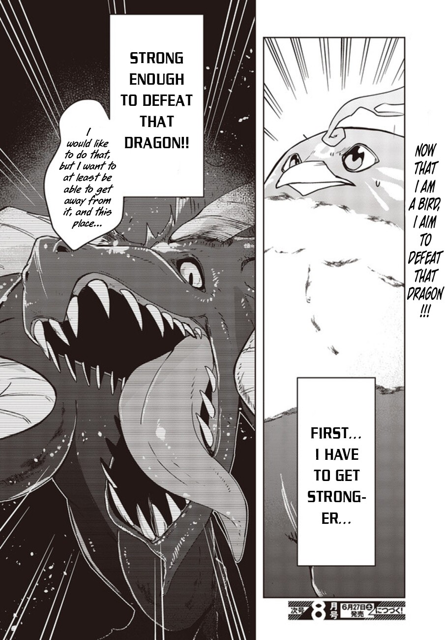 Reborn as a Phoenix: A Normal Bird Can't Beat a Dragon, Right? Chapter 2 page 27 - Chapter 2