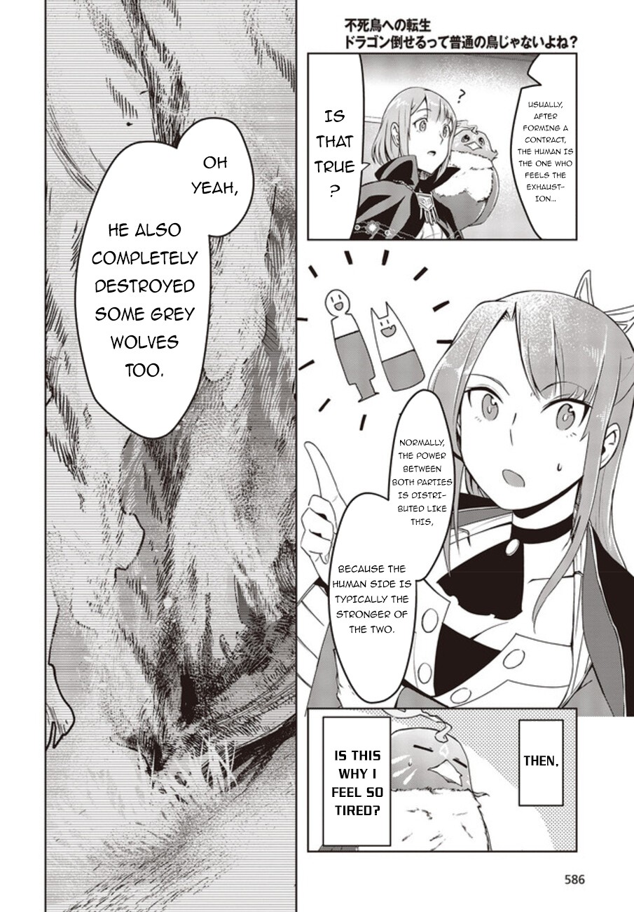 Reborn as a Phoenix: A Normal Bird Can't Beat a Dragon, Right? Chapter 2 page 5 - Chapter 2