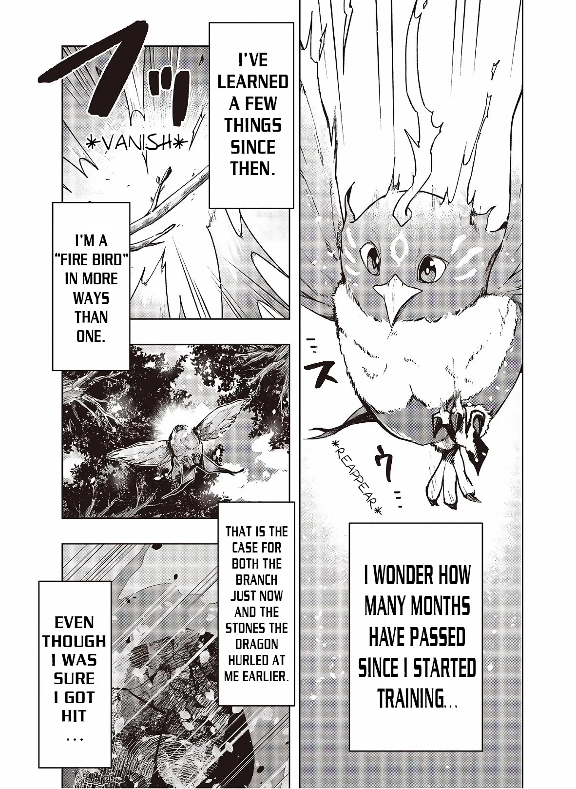 Reborn as a Phoenix: A Normal Bird Can't Beat a Dragon, Right? Chapter 3 page 4 - Chapter 3