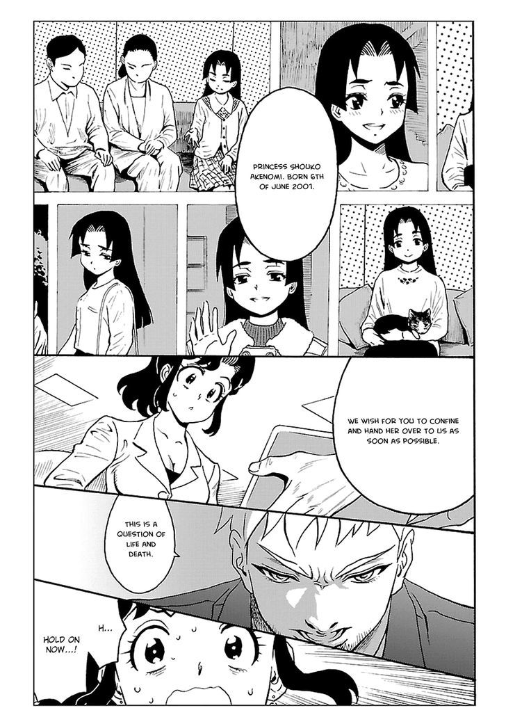 Redman Princess: Akaryou Oujo Chapter 2 page 37 - Chapter 2
