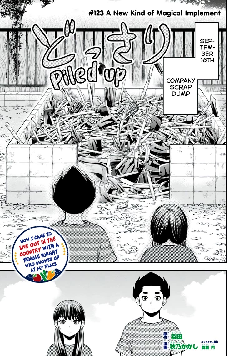 Regarding That We Decided to Live in the Countryside With The Female Knight Who Came to Us Chapter 123 page 1 - Chapter 123: A New Kind of Magical Implement