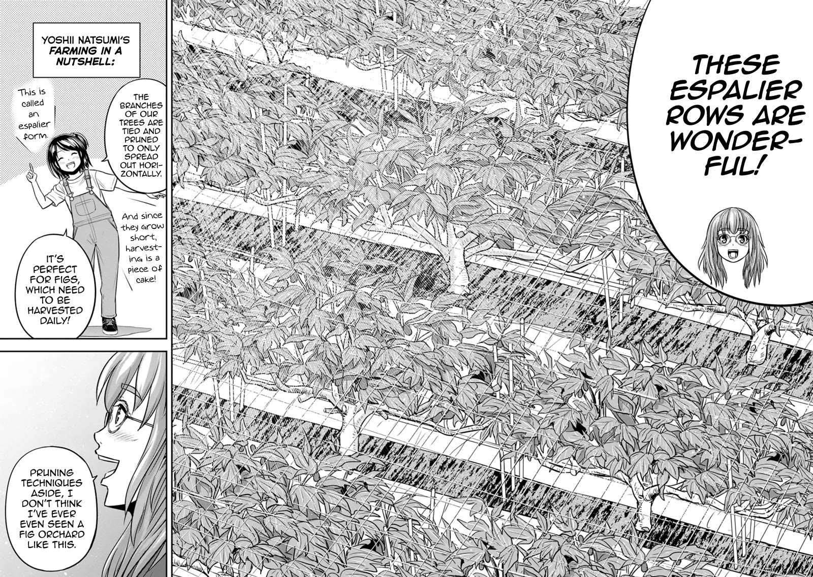 Regarding That We Decided to Live in the Countryside With The Female Knight Who Came to Us Chapter 128 page 4 - Chapter 128: Fig Cupcakes