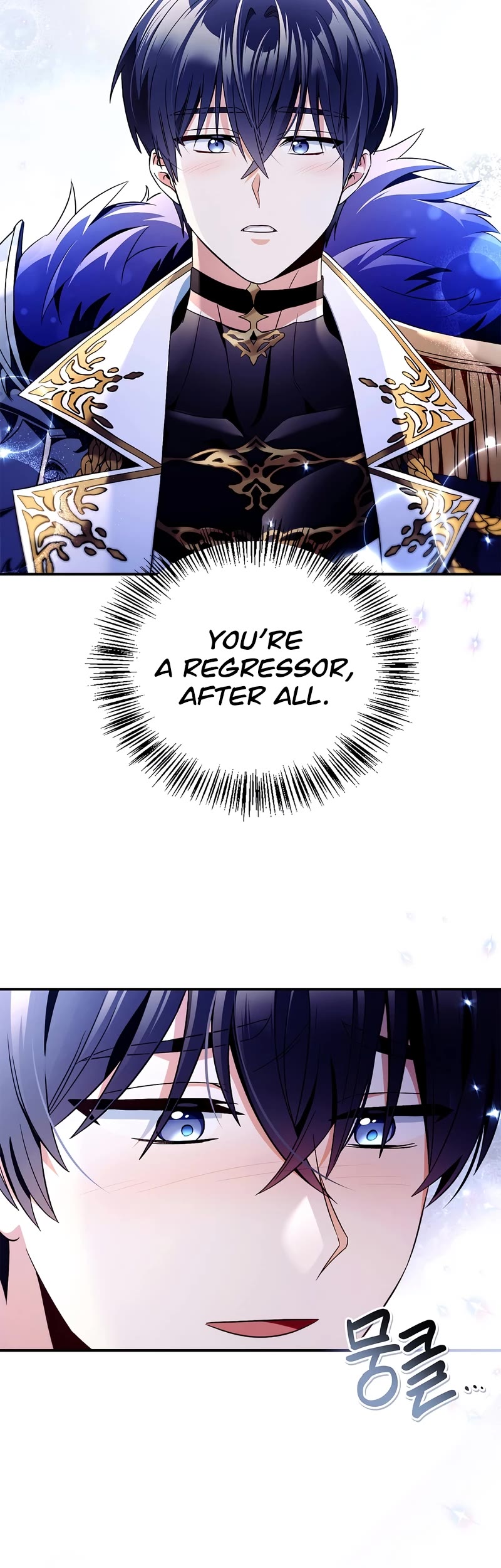 Regressor Instruction Manual Chapter 108 page 44 - Chapter 108