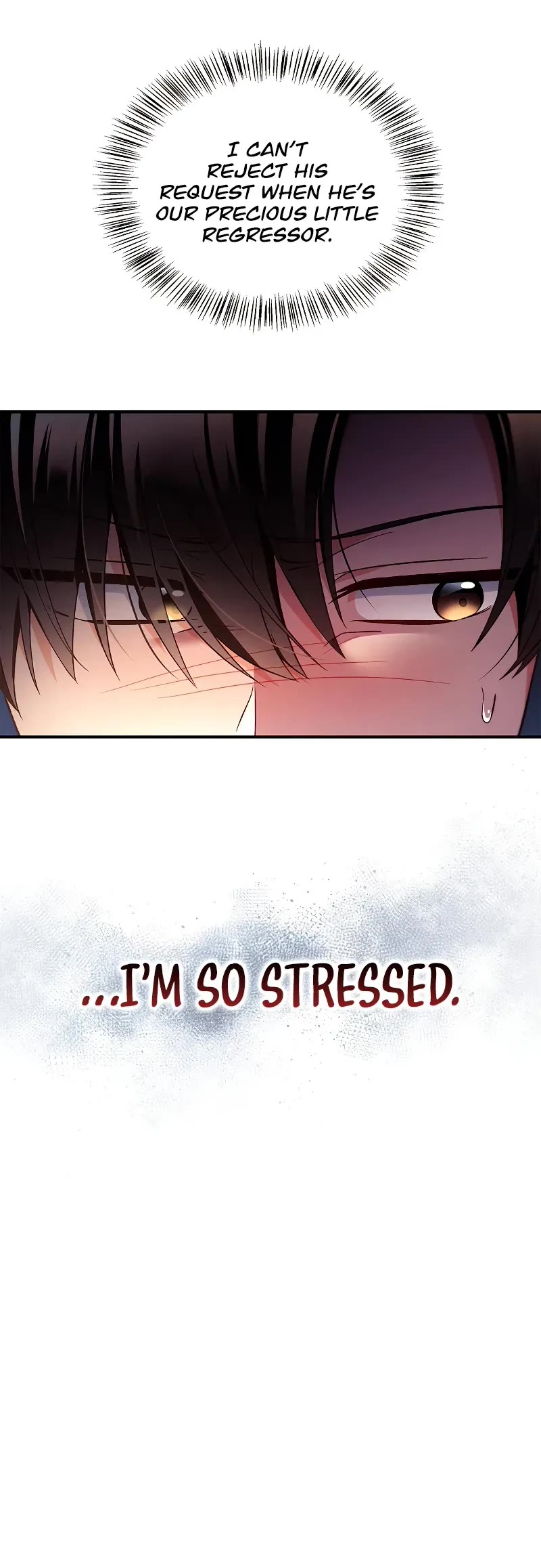 Regressor Instruction Manual Chapter 111 page 30 - Chapter 111