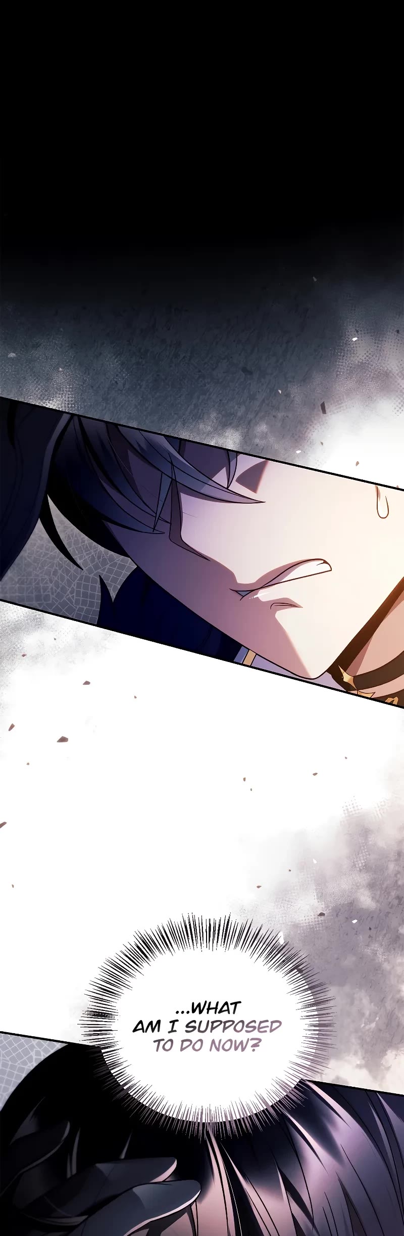 Regressor Instruction Manual Chapter 118 page 50 - Chapter 118