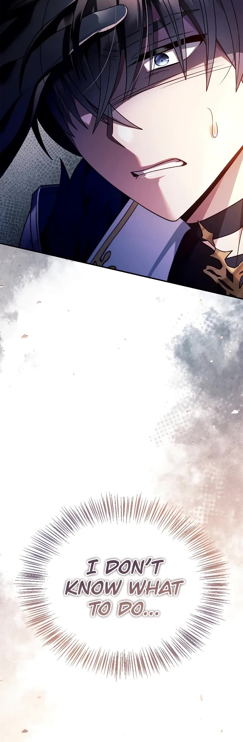 Regressor Instruction Manual Chapter 118 page 51 - Chapter 118