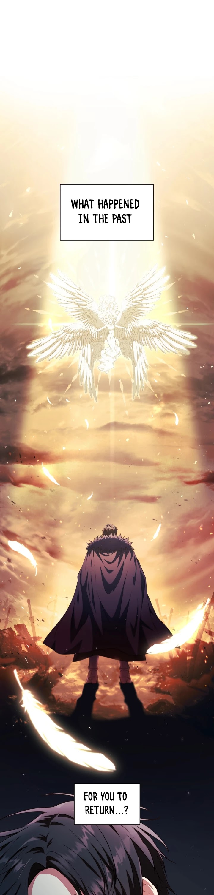 Regressor Instruction Manual Chapter 12 page 38 - Chapter 12
