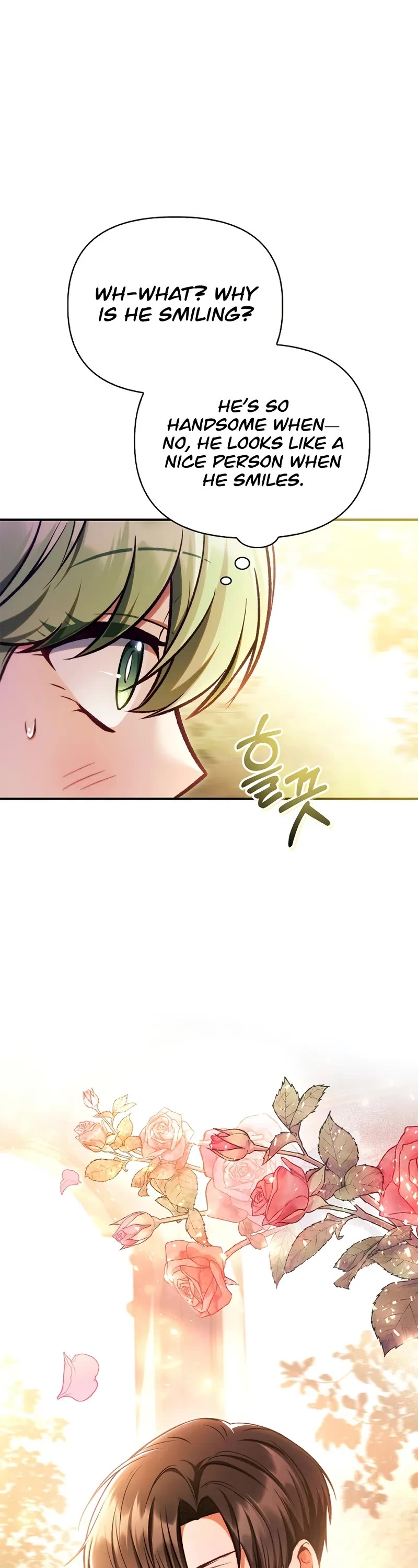 Regressor Instruction Manual Chapter 135 page 36 - Chapter 135