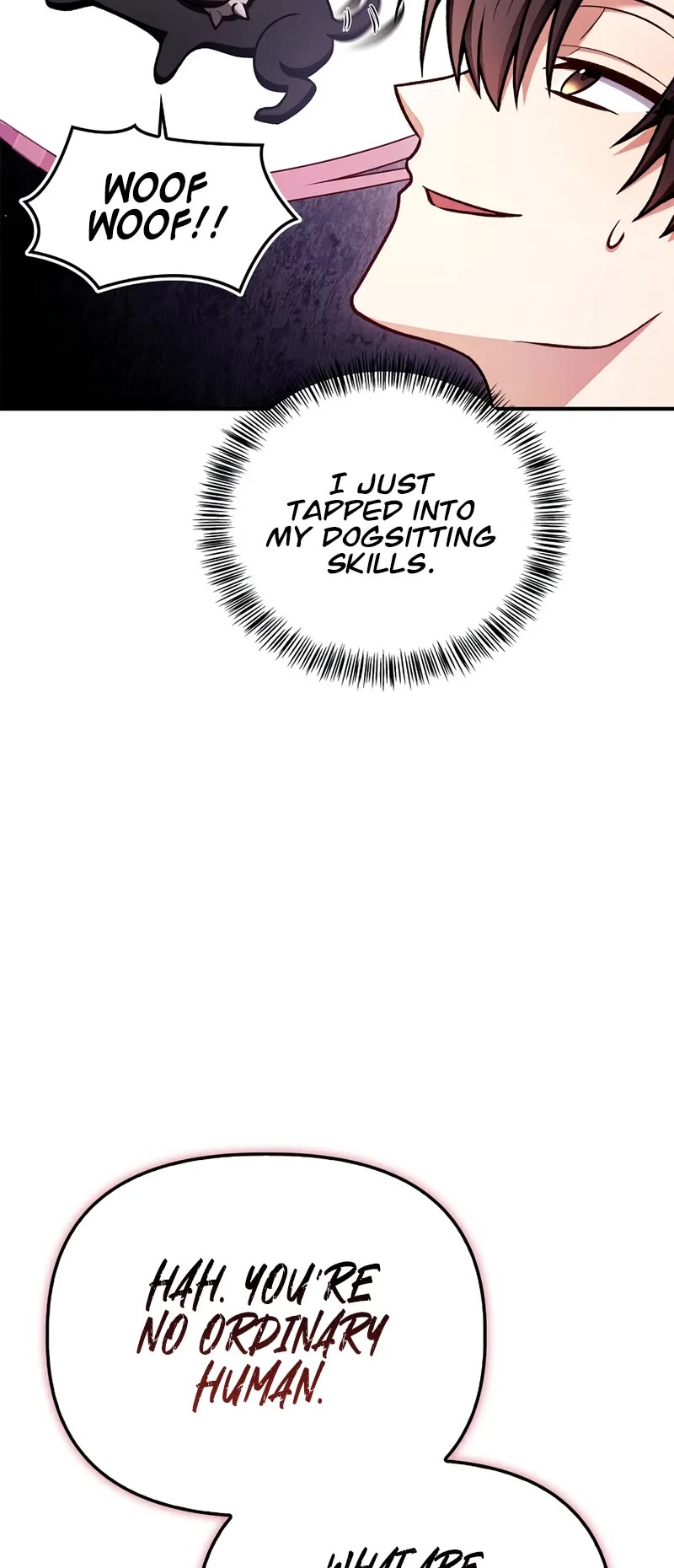 Regressor Instruction Manual Chapter 162 page 47 - Chapter 162