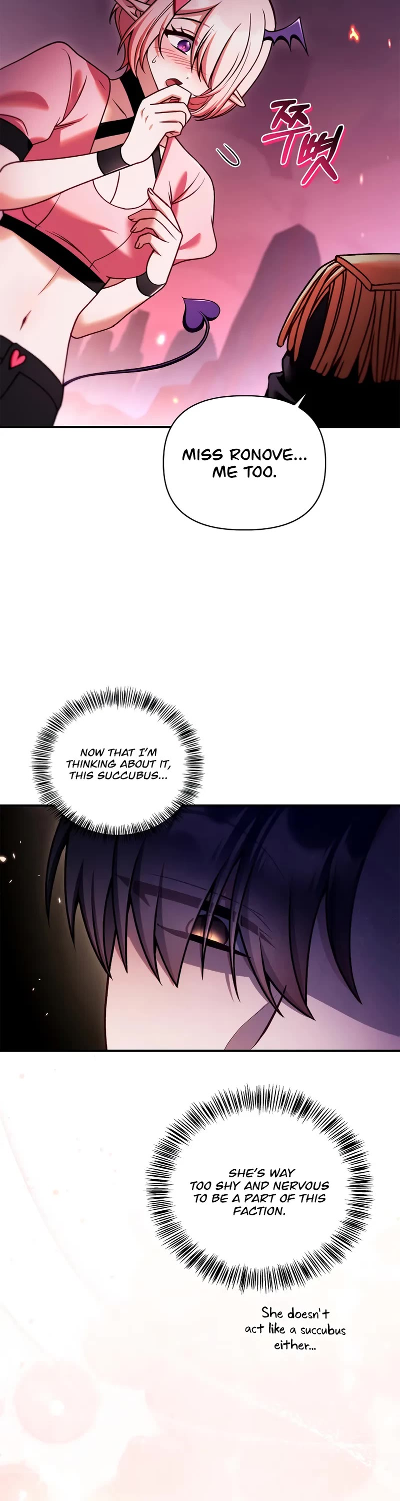 Regressor Instruction Manual Chapter 163 page 13 - Chapter 163