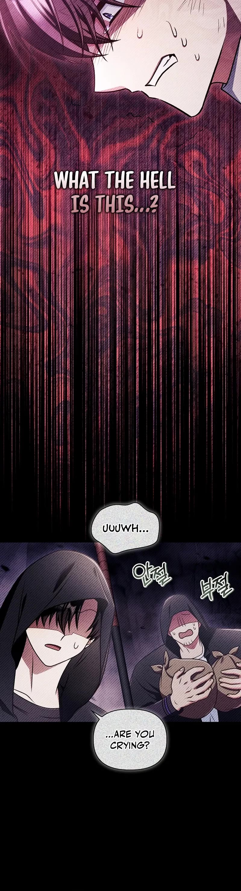 Regressor Instruction Manual Chapter 169 page 15 - Chapter 169