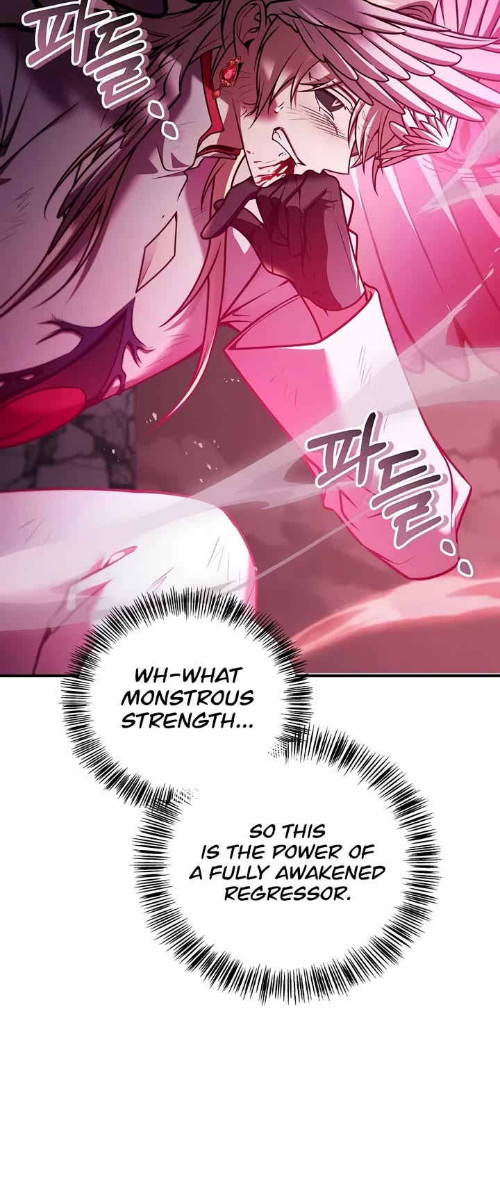Regressor Instruction Manual Chapter 204 page 28 - Chapter 204