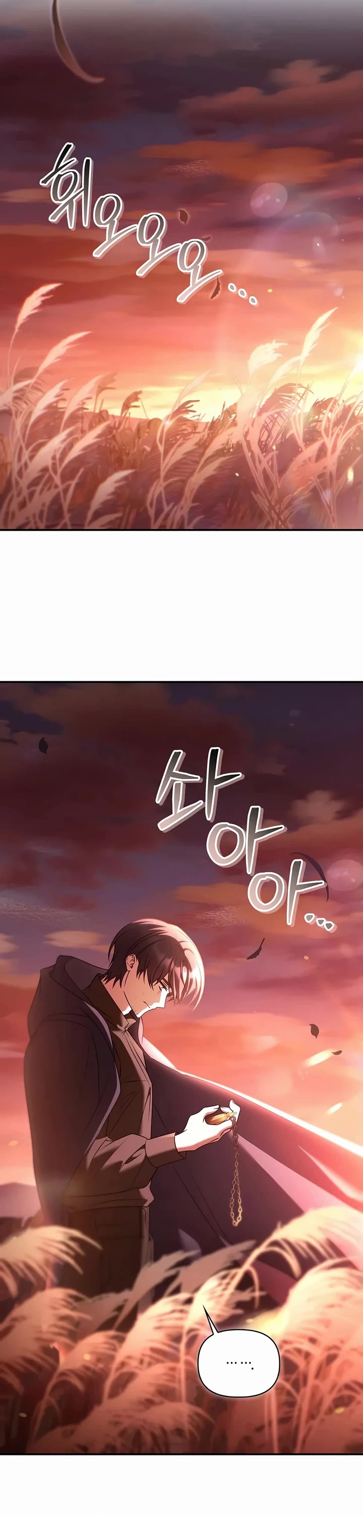 Regressor Instruction Manual Chapter 206 page 36 - Chapter 206