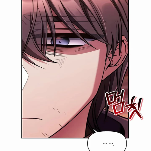 Regressor Instruction Manual Chapter 206 cover